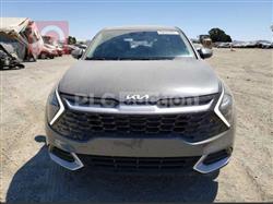 کیا سپۆرتاج